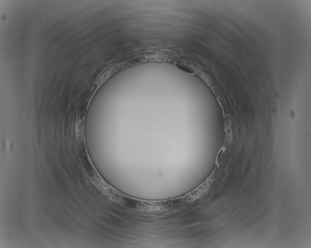 X0000085230276200703090904