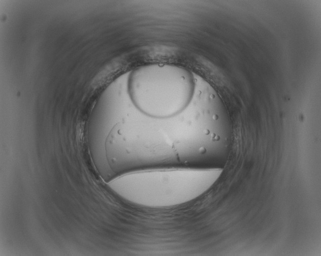 X0000085230278200703090904