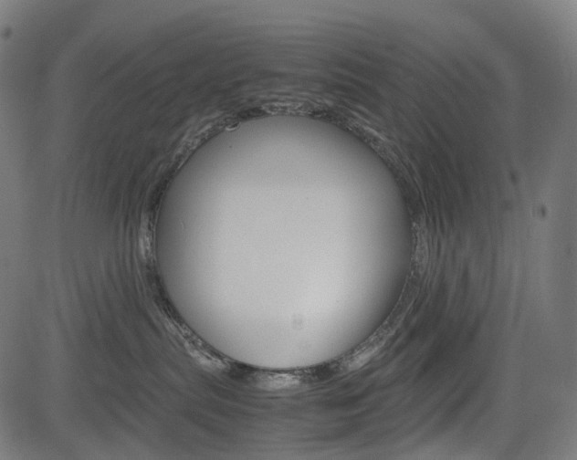 X0000085230287200703090904