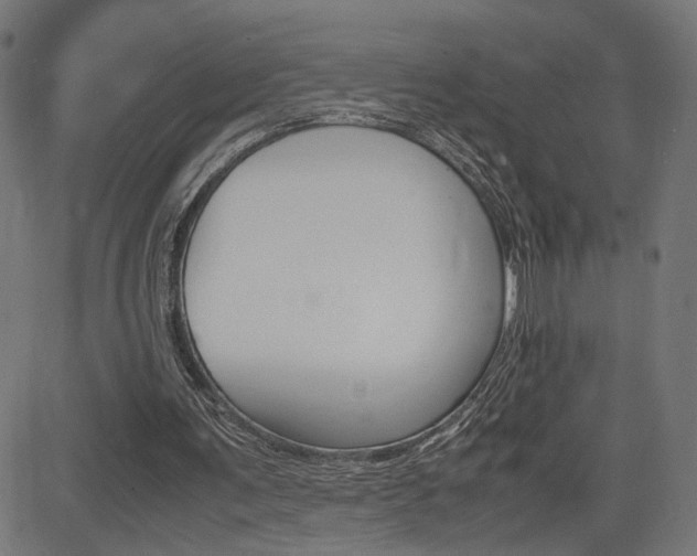 X0000085230291200703090904