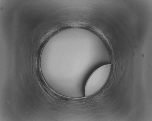 X0000085230299200703090903