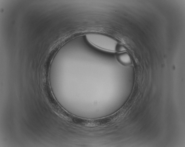 X0000085230303200703090903
