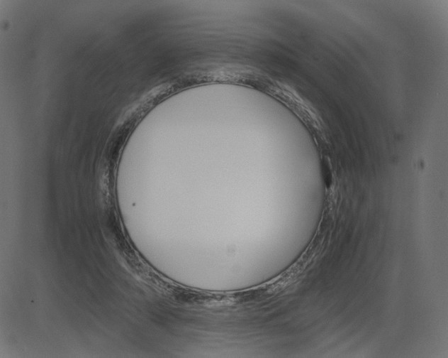 X0000085230306200703090903