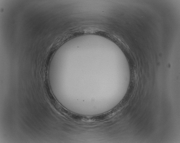 X0000085230311200703090903