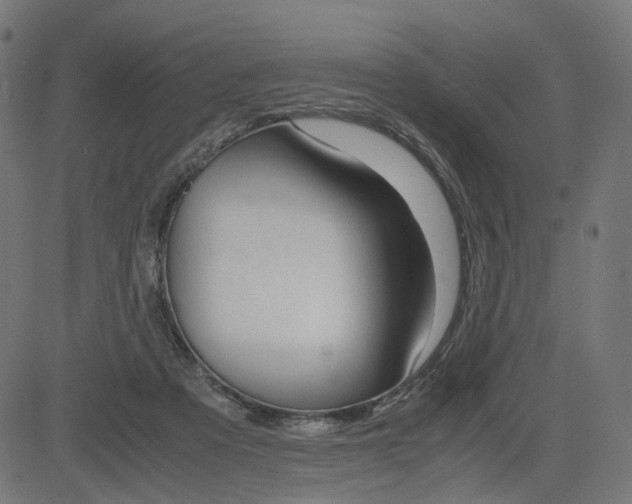 X0000085230313200703090903