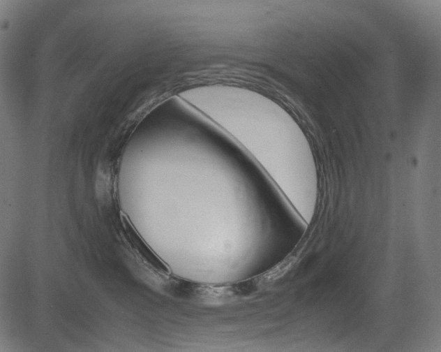 X0000085230333200703090903