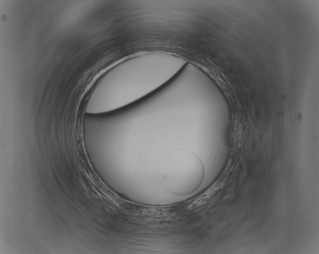 X0000085230338200703090902
