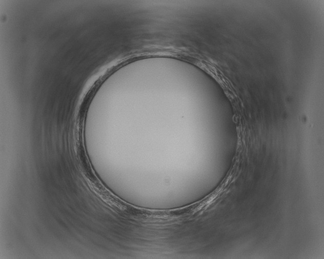 X0000085230342200703090902