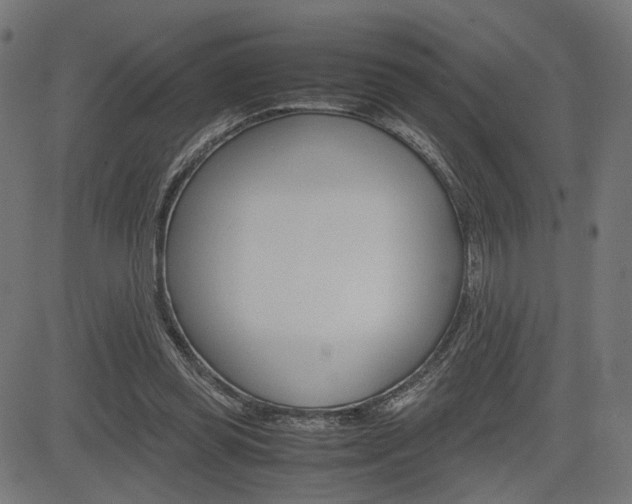 X0000085230349200703090902