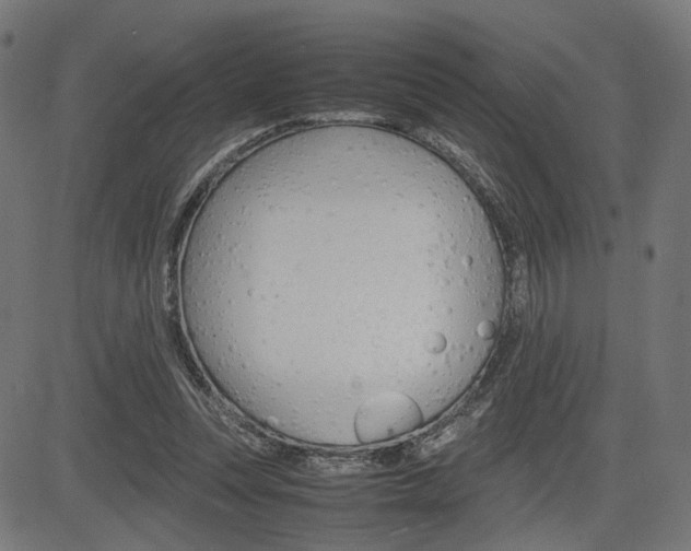 X0000085230351200703090902