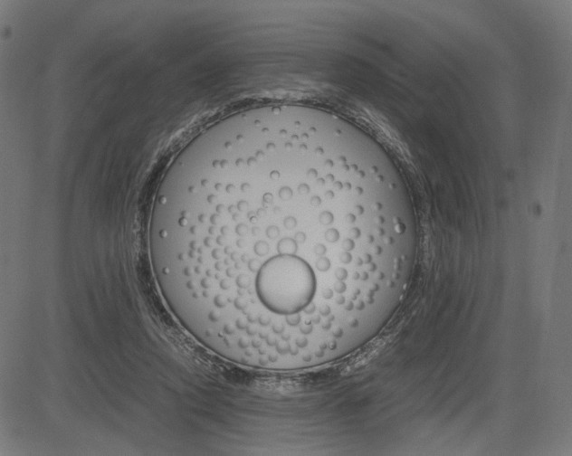 X0000085230354200703090902