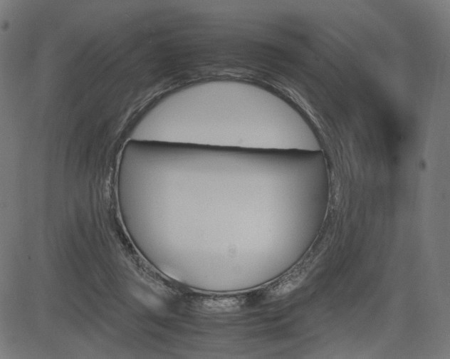 X0000085230357200703090902