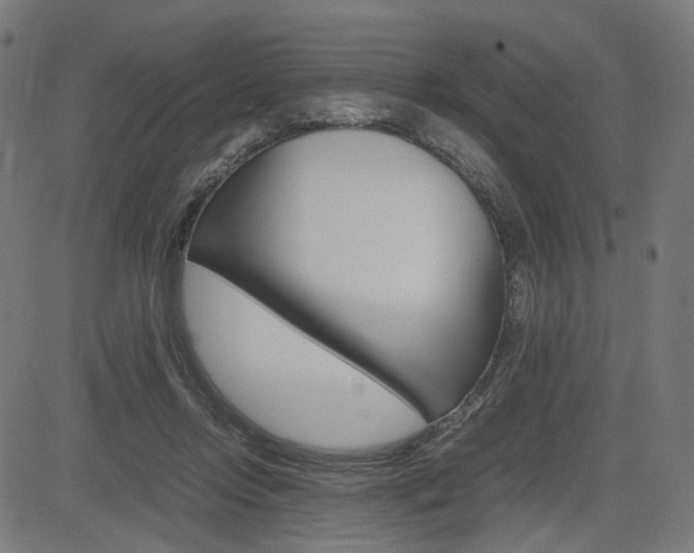 X0000085230358200703090902