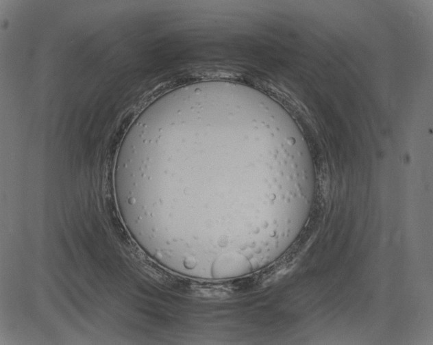 X0000085230359200703090902