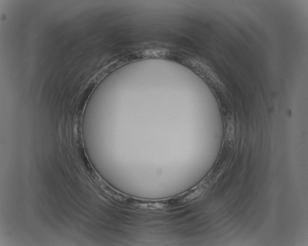 X0000085230363200703090902