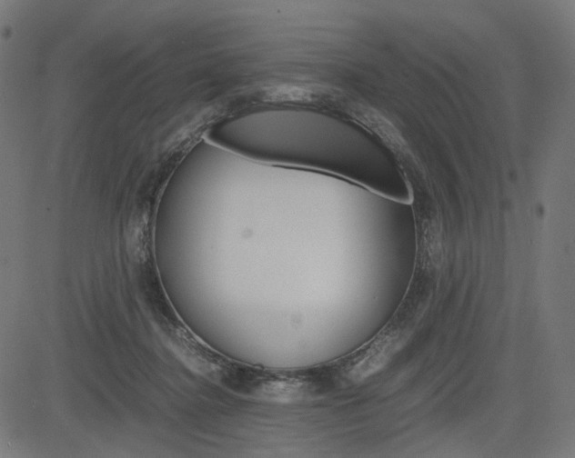 X0000085230364200703090902