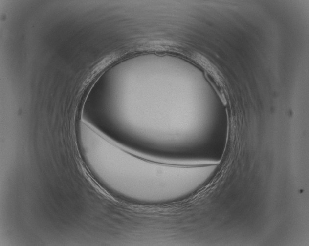 X0000085230389200703090902