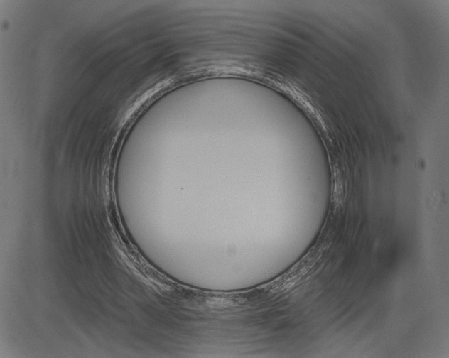 X0000085230390200703090902