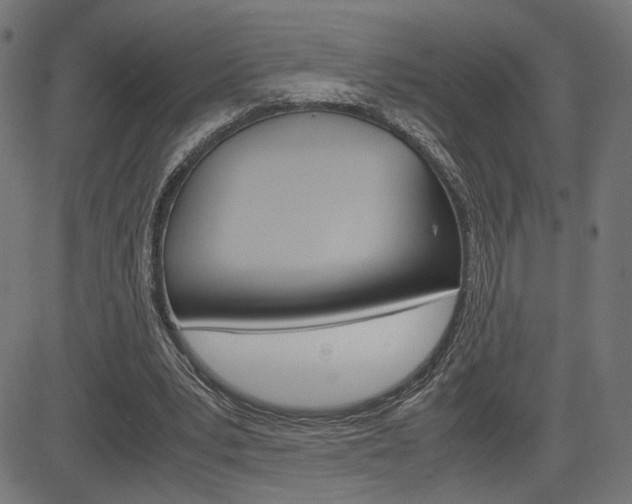 X0000085230391200703090902