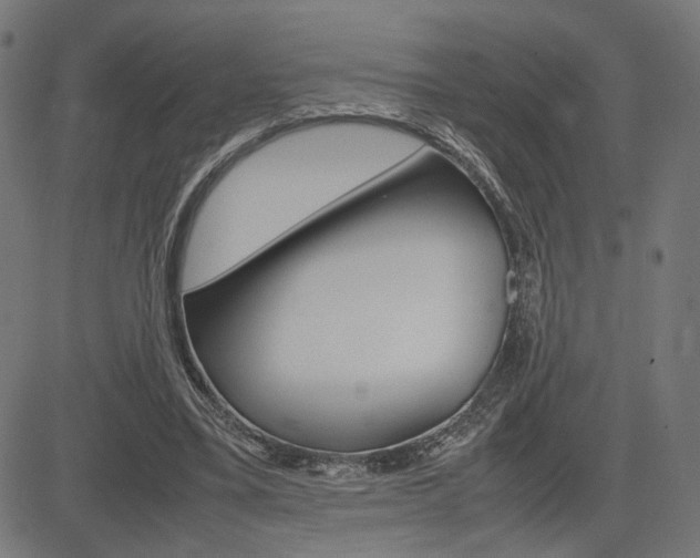 X0000085230395200703090902