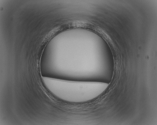 X0000085230401200703090902