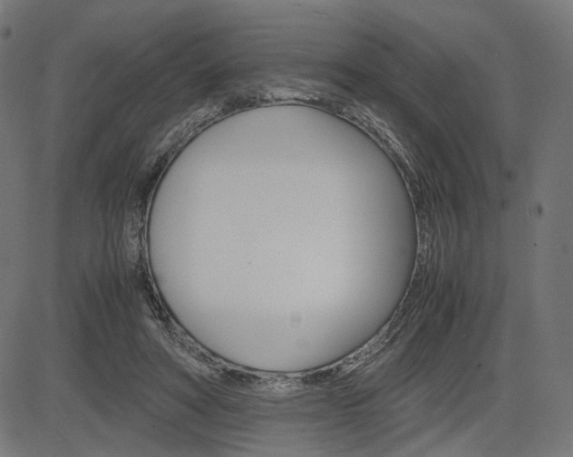 X0000085230402200703090902