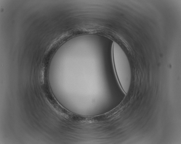 X0000085230404200703090902