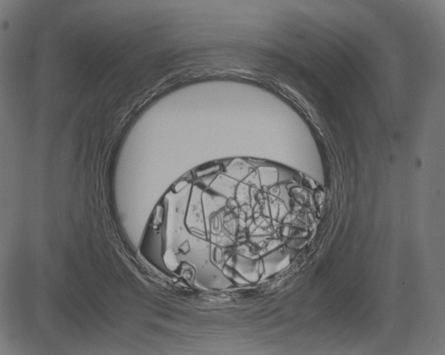 X0000085230405200703090902