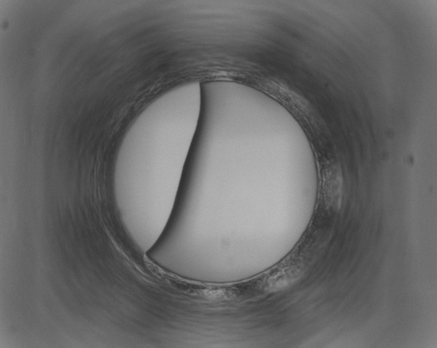 X0000085230406200703090902