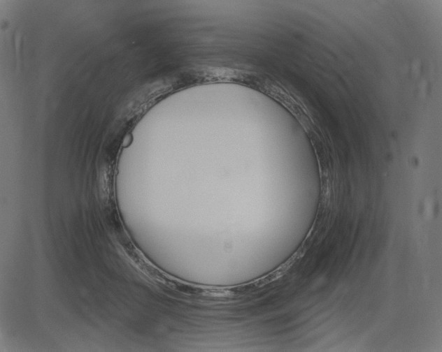 X0000085230410200703090902