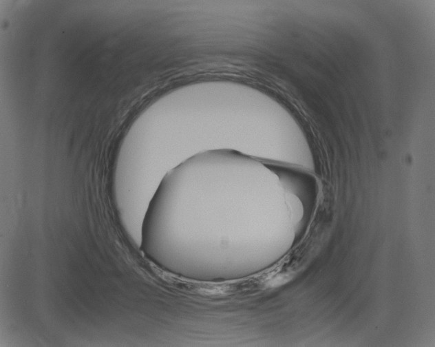 X0000085230411200703090902