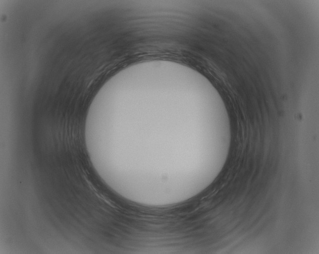 X0000085230412200703090902