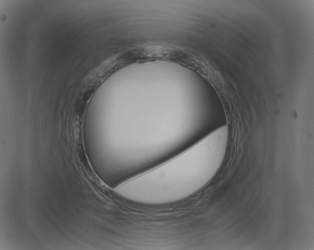 X0000085230413200703090902