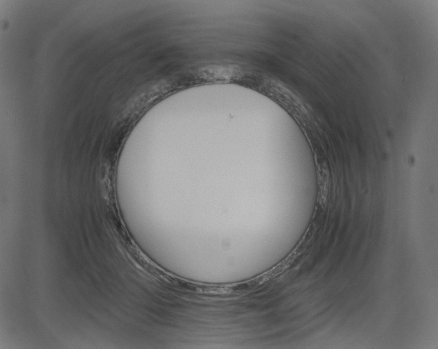 X0000085230414200703090902