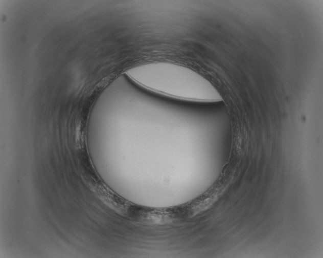 X0000085230420200703090901