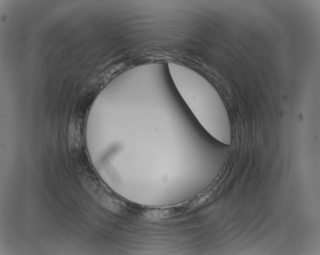 X0000085230422200703090901