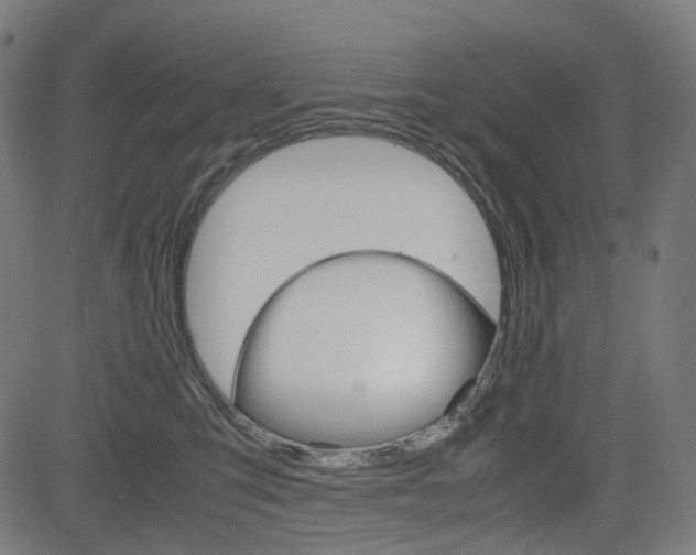 X0000085230423200703090901