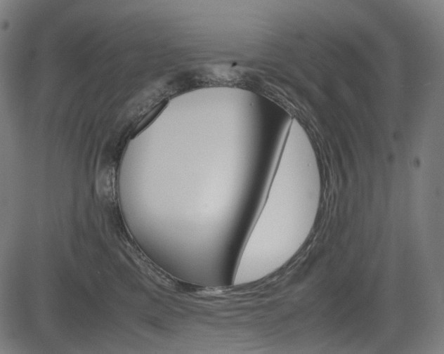 X0000085230425200703090901