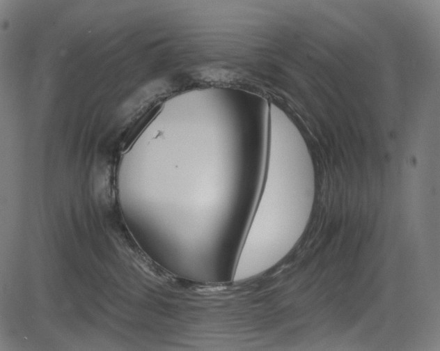X0000085230428200703090901