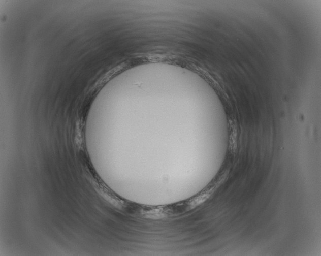 X0000085230430200703090901
