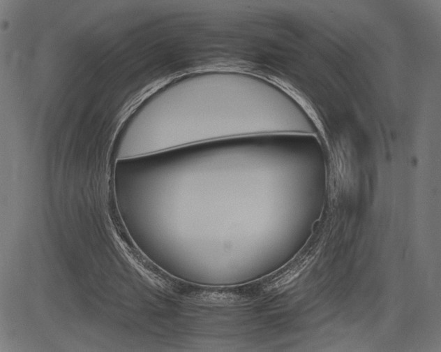 X0000085230437200703090901