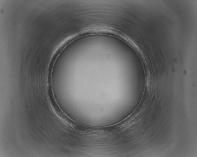 X0000085230438200703090901