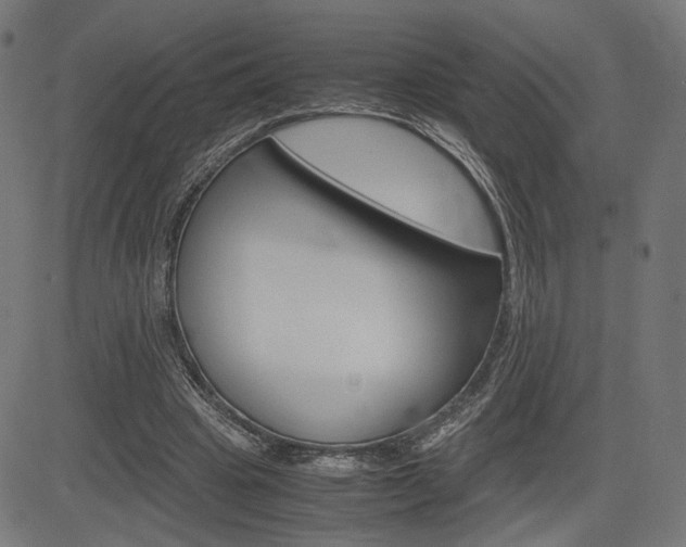 X0000085230441200703090901