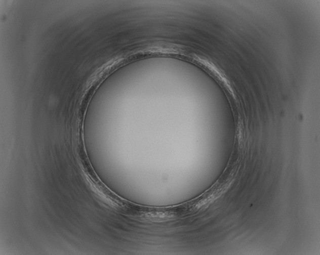 X0000085230445200703090901