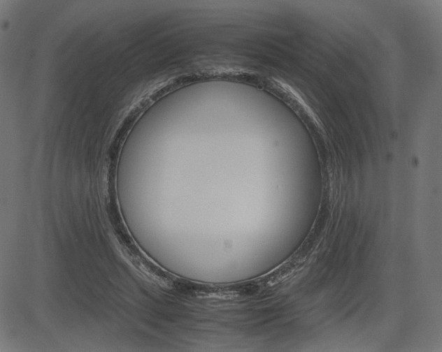 X0000085230447200703090901