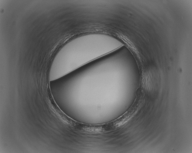 X0000085230449200703090901
