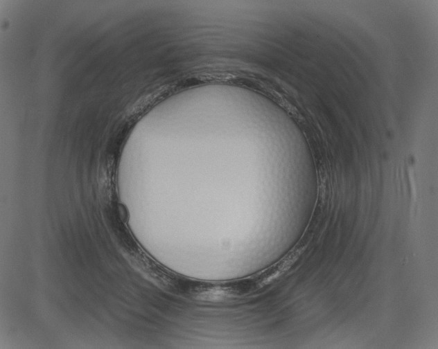 X0000085230460200703090901