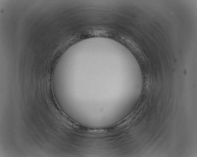 X0000085230461200703090901