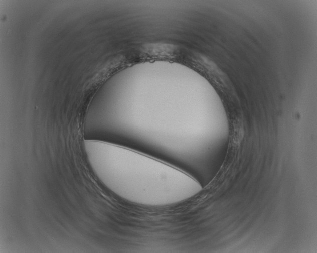 X0000085230465200703090901