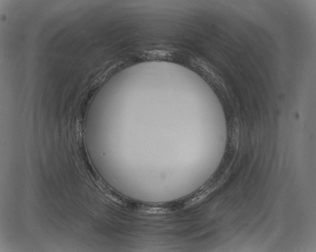 X0000085230467200703090901
